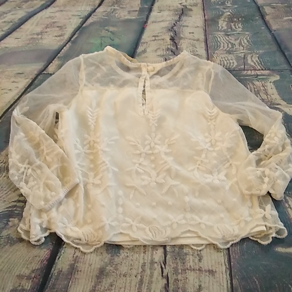 Ivory Embroidered Mesh Long Sleeved Blouse - Picture 5 of 7